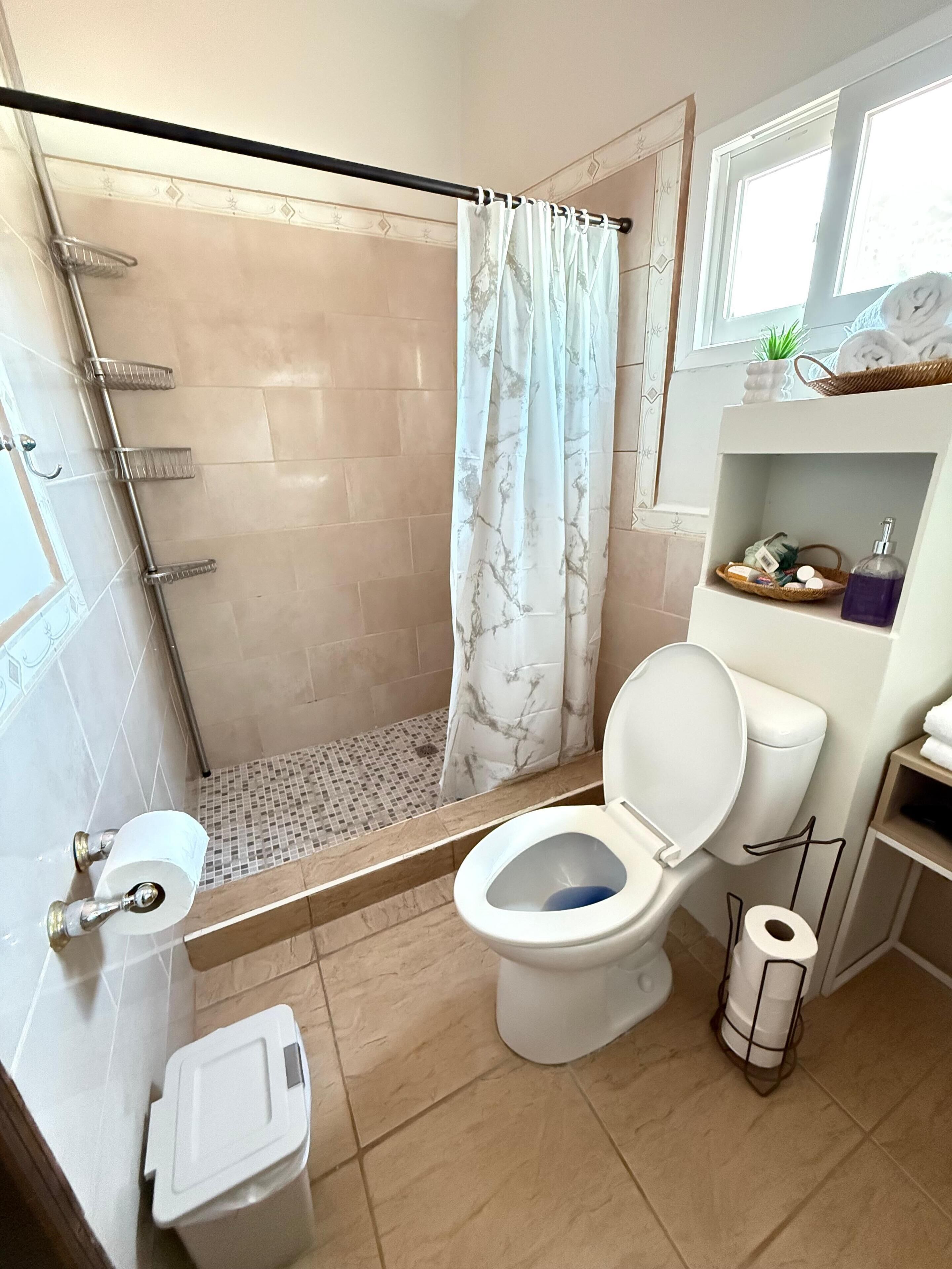 Hair dryer, towels, soap, toilet paper