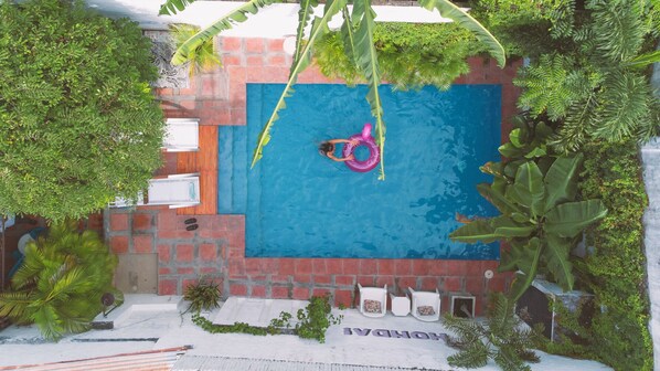 A swimming pool with a person in a pink floatation ring, surrounded by lush greenery and a brick wall. - Casa Amberes (Honda)