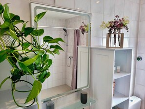 Dusche, Haartrockner, Handtücher, Seife