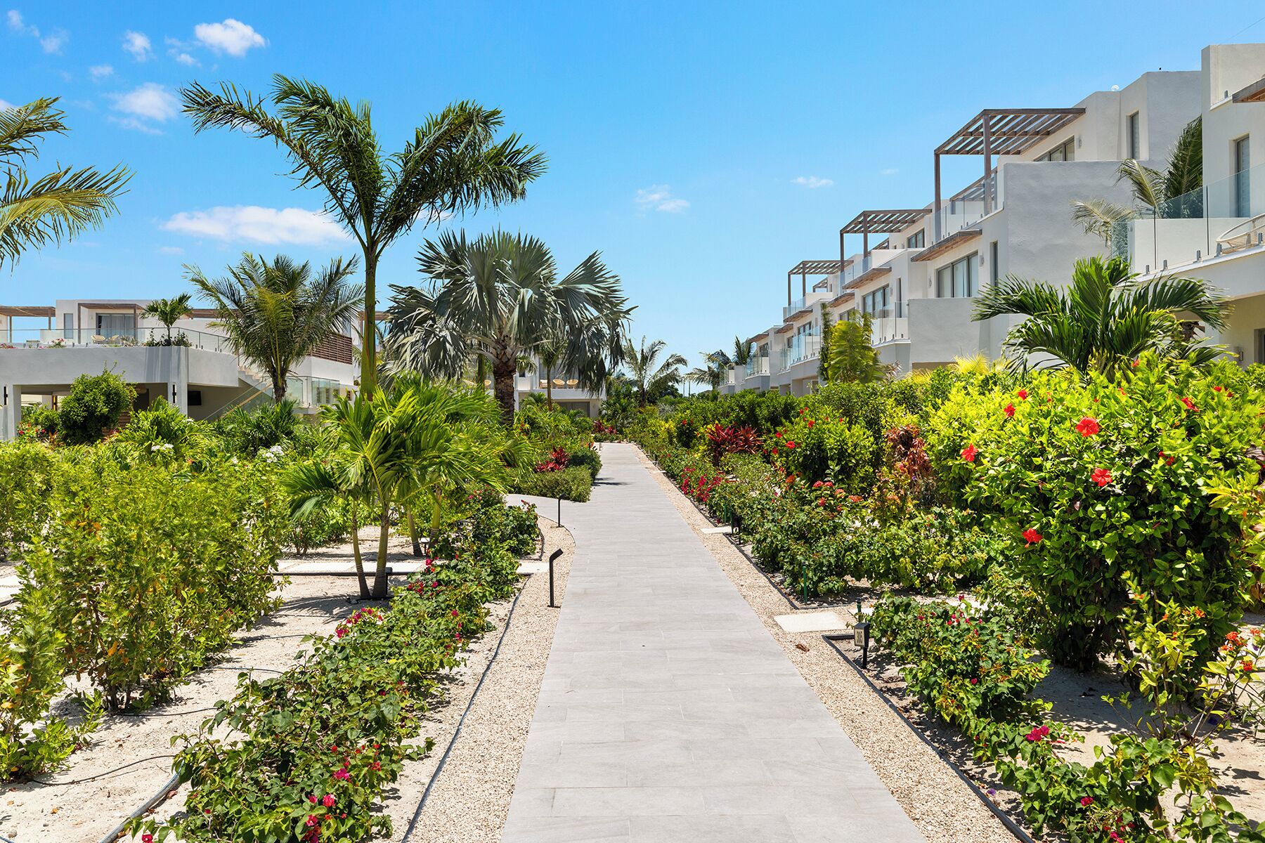 A pathway lined with greenery and palm trees, leading to modern buildings with balconies.