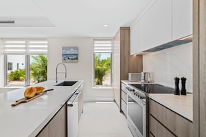 Full-size fridge, microwave, oven, dishwasher