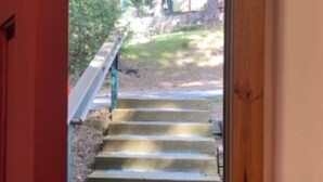 Eine Holztreppe, die nach draußen führt.