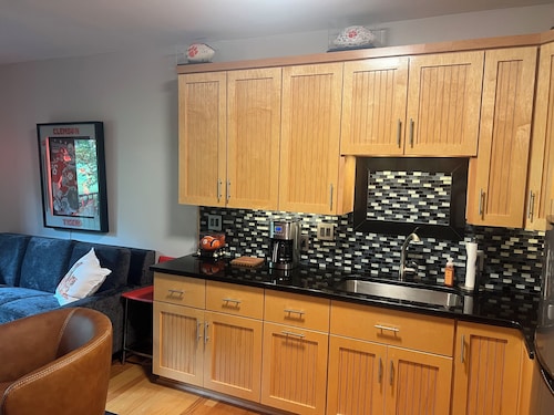 Delightful 1-bedroom condo in Clemson.