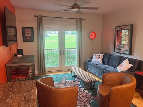 Delightful 1-bedroom condo in Clemson.