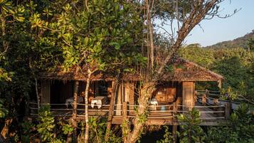 Körperbehandlungen, Aromatherapie, Tiefengewebe-Massagen