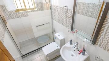 Shower, hair dryer, bidet, towels