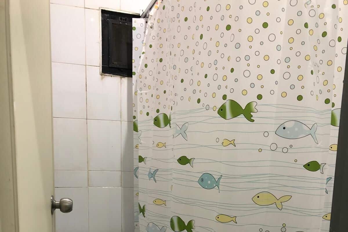 Ducha, toallas, jabón, shampoo