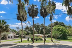 A residential street with palm trees, a house, and a building with a covered patio. - ParkView Palms, Mid-Century Home, Sleeps 6, Pets (Mount Dora)