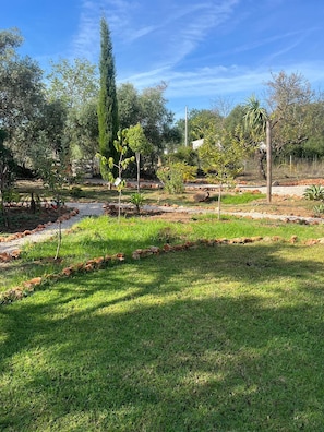 Un jardín con diversas plantas y árboles, un camino de grava y una valla al fondo.