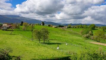 Een landelijk landschap met groene velden, verspreide bomen en verafgelegen bergen, onder een gedeeltelijk bewolkte lucht.