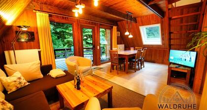 Ferienhaus Waldruhe 37 am Twistesee