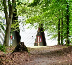 Ein bewaldetes Gebiet mit einem Feldweg, der zu einem kleinen Gebäude mit roter Tür und einem dreieckigen Dach führt.