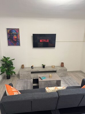 Smart-TV, Bücher