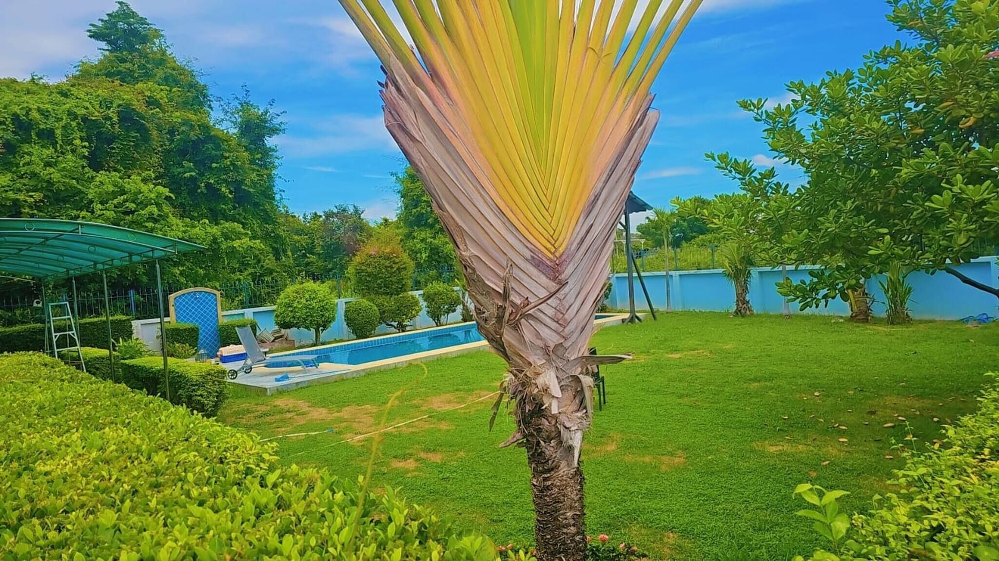 独立别墅, 3 间卧室, 无障碍, 吸烟房 | 泳池 | 室外游泳池