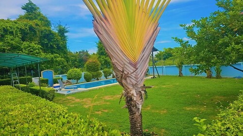 Pattaya Pool Villa 3 Bedrooms
