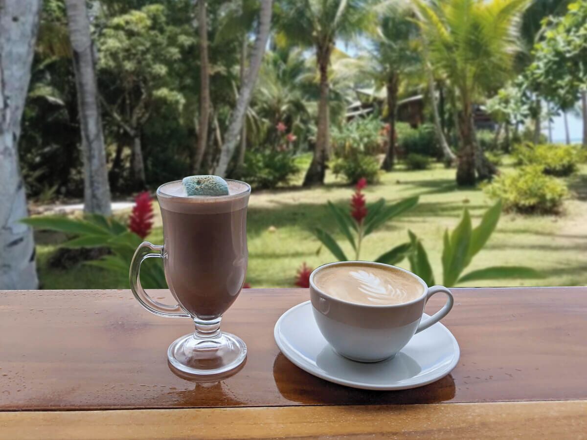 A glass of hot chocolate and a cup of coffee on a wooden table with a tropical garden view.