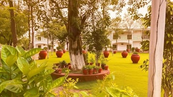 Jardim