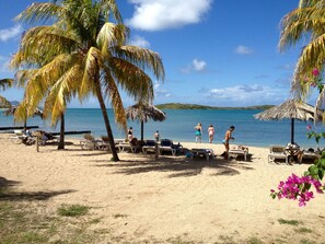 Una playa con palmeras, sillas de descanso y una vista despejada del mar.