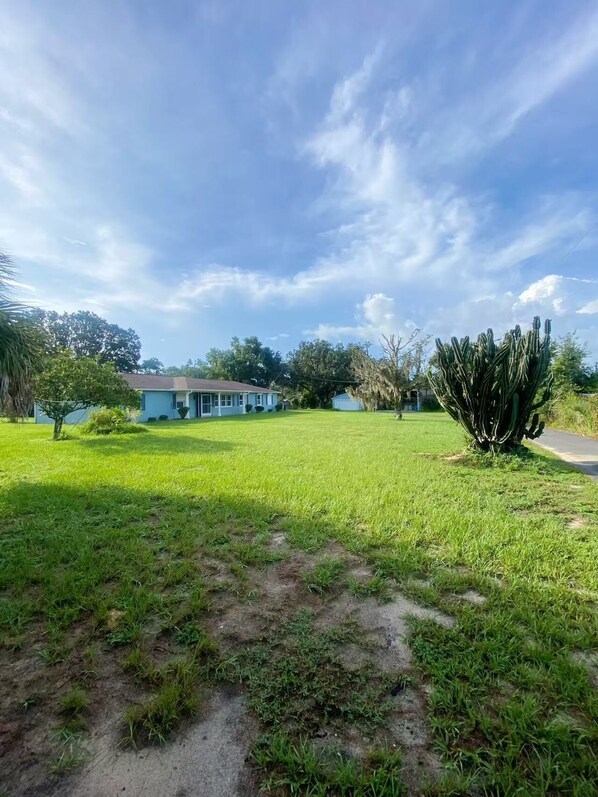 A grassy area with a house, a cactus, and trees. - Peaceful and newly home with solar heated pool (Brandon)
