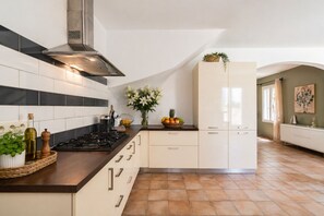 Private kitchen - Villa Saint Rèmy de Provence Pets welcome Private pool (Saint-Rémy-de-Provence)