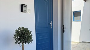 Une porte bleue, avec un petit arbre en pot placé à côté, une caméra de surveillance au-dessus, et un paillasson sur le sol en pierre.