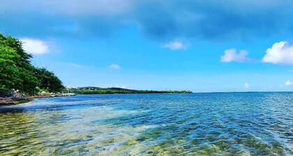 Instant Villa - Dorado Cautus