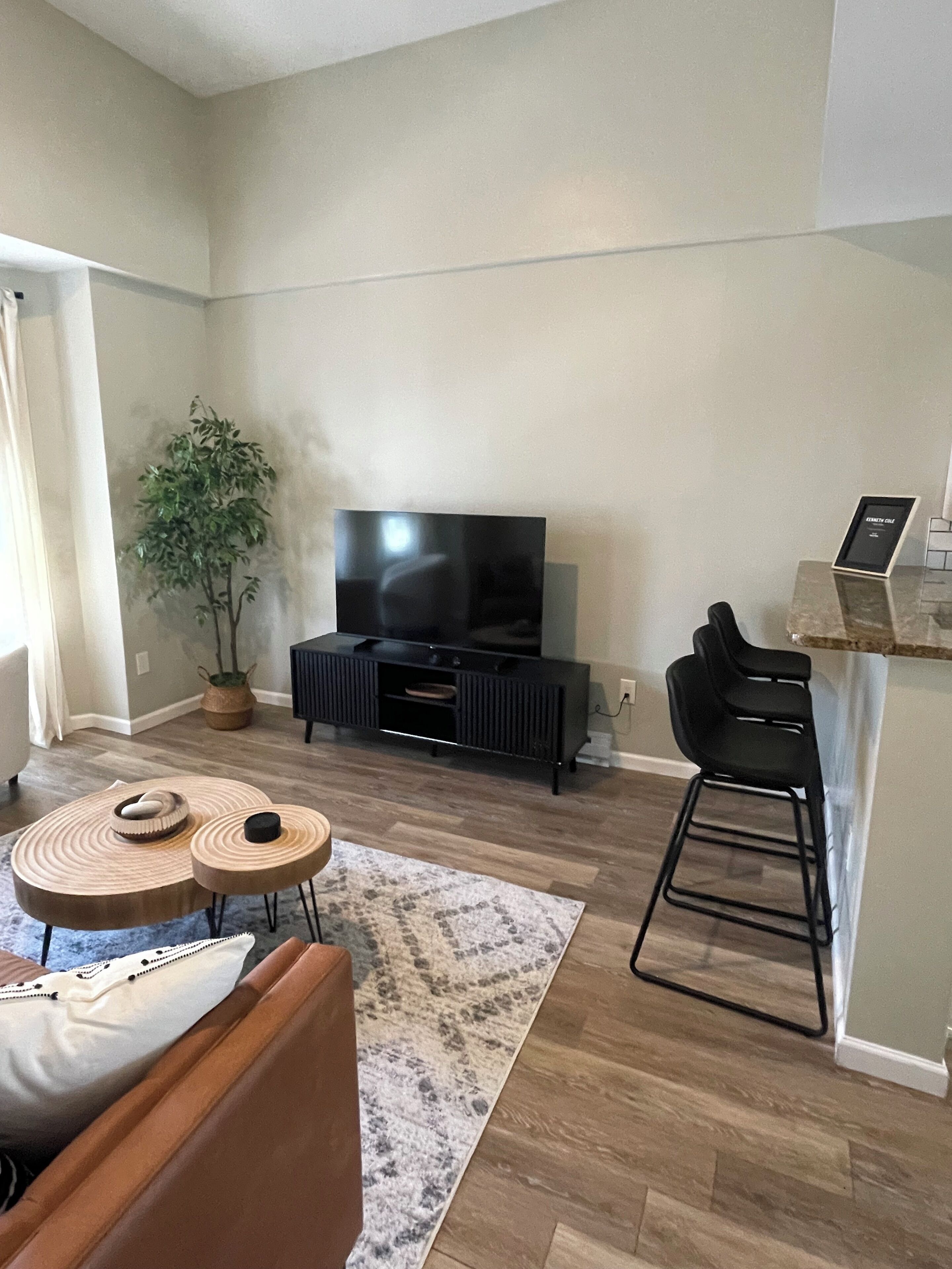 A modern living room with a flat-screen TV, a black entertainment unit, a potted plant, a round coffee table, a bar stool, and a patterned rug.