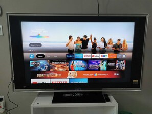 Television