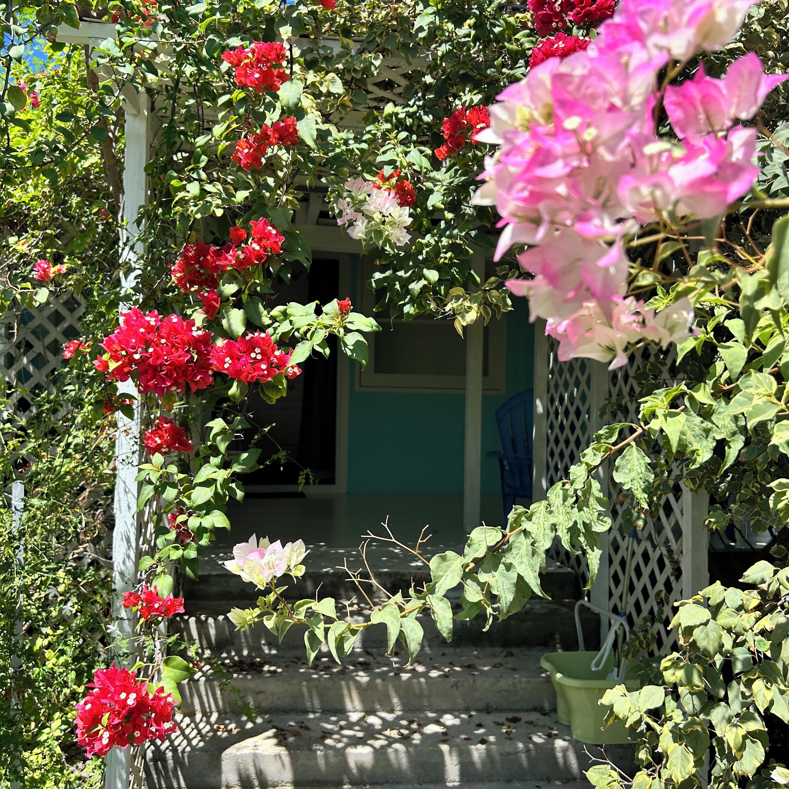 Economy Double Room, Garden View | Terrace/patio