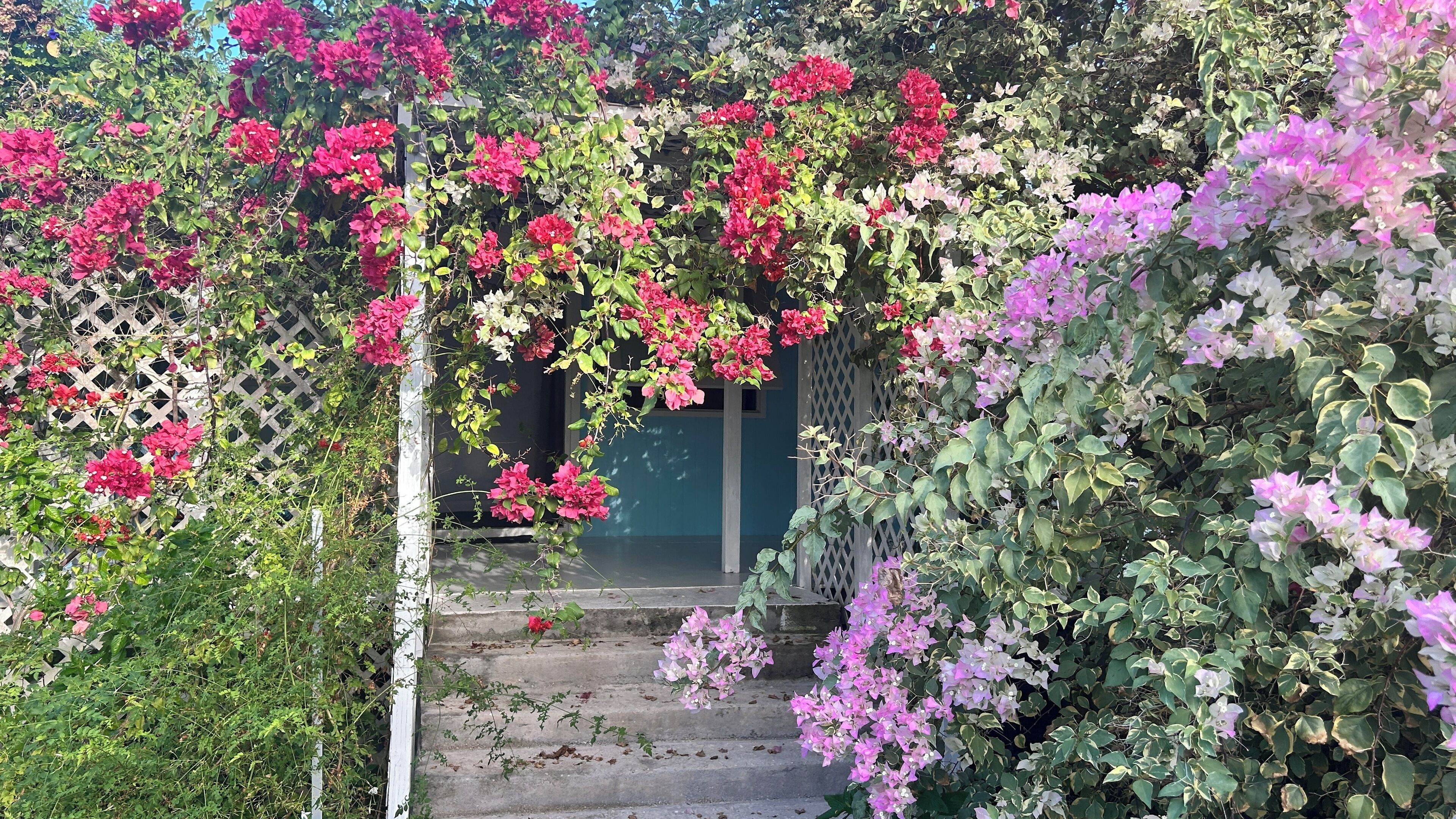 Economy Double Room, Garden View | Free WiFi