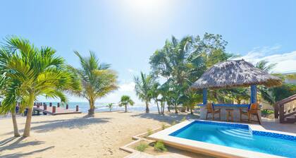 Spectacular Oceanfront 3/3 Villa with Private Beach, Pool, and Dock