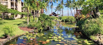 3-bedroom Papakea resort in enchanting Lahaina adjacent to Kaanapali with AC