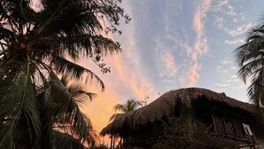 A rustic thatched-roof house with a dirt path leading to it, surrounded by palm trees and vegetation.