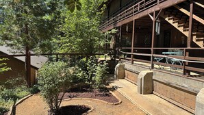 A rustic wooden building with a covered outdoor seating area, surrounded by trees and a dirt path. - Tranquil - 2 bedroom cabin in charming Trinity Center awaits you (Trinity Center)