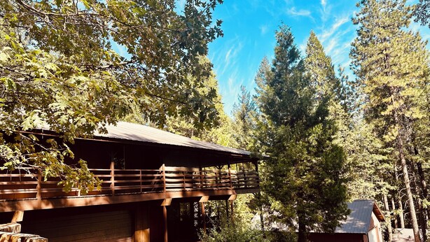 A rustic cabin with a wooden deck, surrounded by dense forest. - Tranquil - 2 bedroom cabin in charming Trinity Center awaits you (Trinity Center)