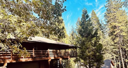 Tranquil - 2 bedroom cabin in charming Trinity Center awaits you