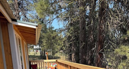 Charming cabin in delightful Republic with AC