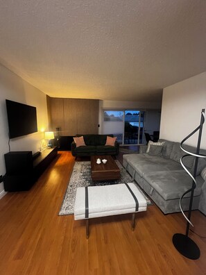 Smart TV, fireplace, books, stereo