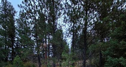 Modern River Condo / Silver Mt. / Hiawatha / Cda River