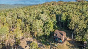 A cabin surrounded by dense forest, with a clear view of the surrounding landscape.