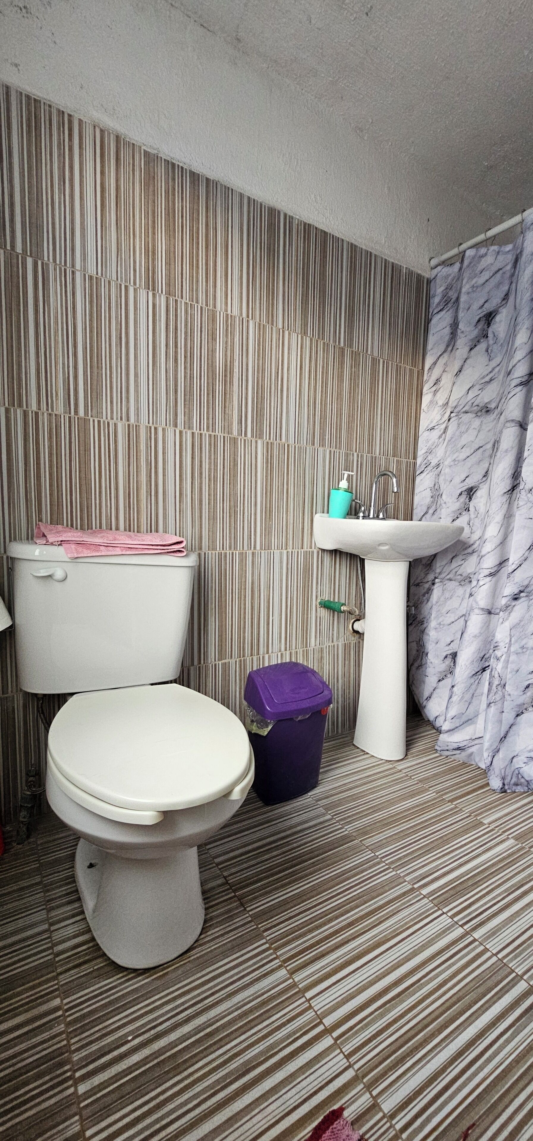 Shower, towels, soap, toilet paper