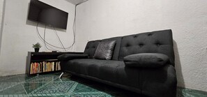 Smart TV, books