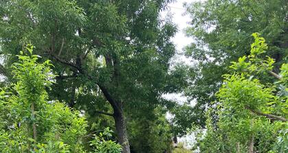 Yosekeshi Kofu Misaki. A Showa-era retro house surrounded by garden and nature. A healing place to spend time with your family at the edge of the house. 5 min. drive from Kofu Station.