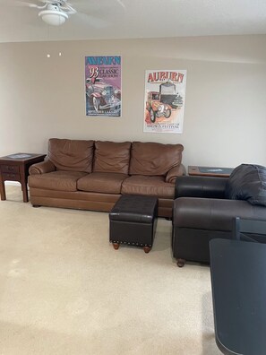 Smart TV, DVD player, books, video library