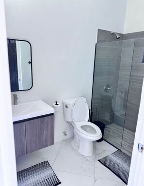 Sèche-cheveux, serviettes fournies, savon, papier toilette