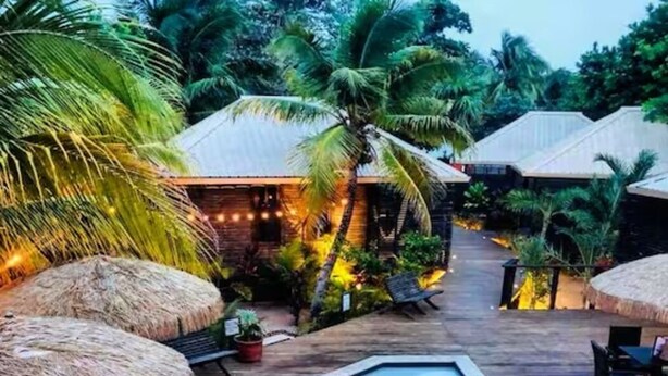 A pool area with thatched umbrellas, a wooden deck, and a tropical setting with palm trees.