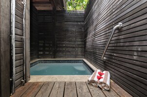 Crocodile - WITH ENSUITE PRIVATE MINI POOL | Private pool