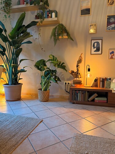 Wohlfühloase in der Altstadt / le soleil No. 2