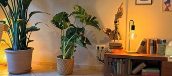 Feel-good oasis in the old town / le soleil No. 2