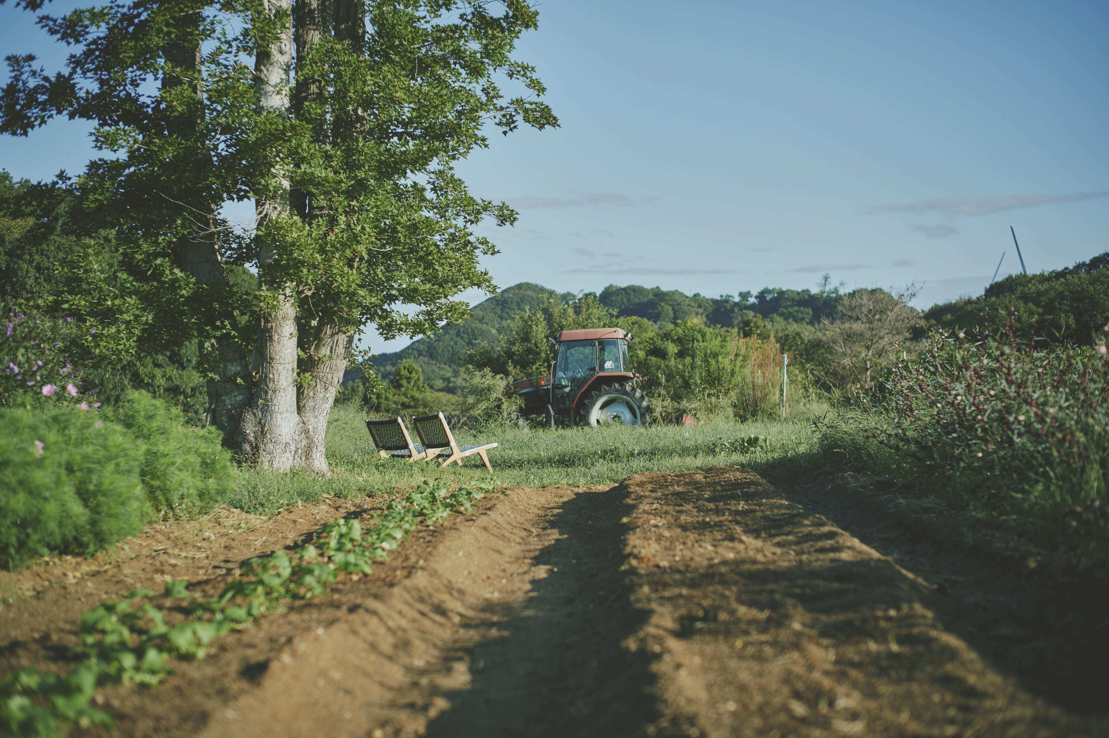 A dirt path leading to a red tractor in a rural setting with trees and greenery.